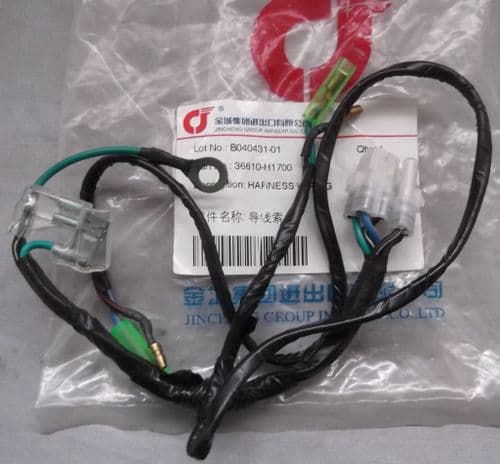DB Motori TTX125 / 150 Electrical Lighting Wiring Sub-harness 36610-H1700