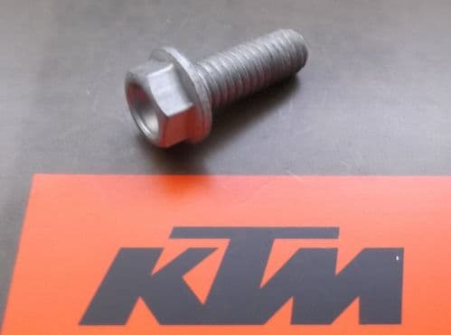 Genuine KTM Flanged Hex Head HH Collar Screw M6x16 0015060163