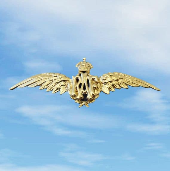 RAF Wings Large Pin Badge - Gold Plated